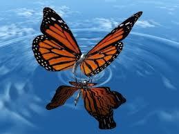 farfalla